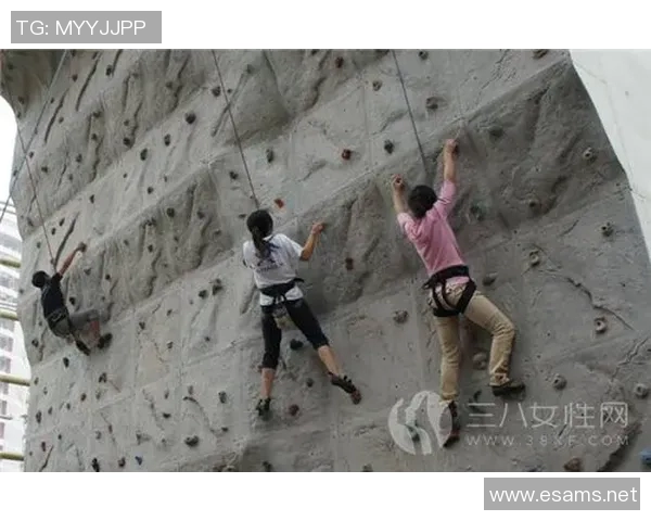 杭州攀岩队与深圳攀岩队赛后复盘力量对比分析与启示