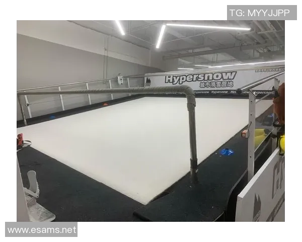 武汉滑板队荣登全国滑板战术排行榜第二名引发热议