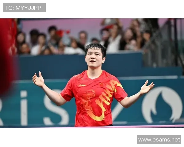 乒乓球运动员成长之路：从小球场到国际舞台的奋斗与荣耀