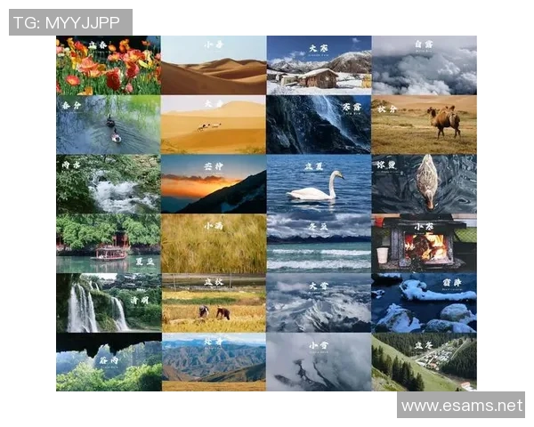 唯美摄影之旅:镜头背后的故事 唯美摄影之旅:镜头背后的故事