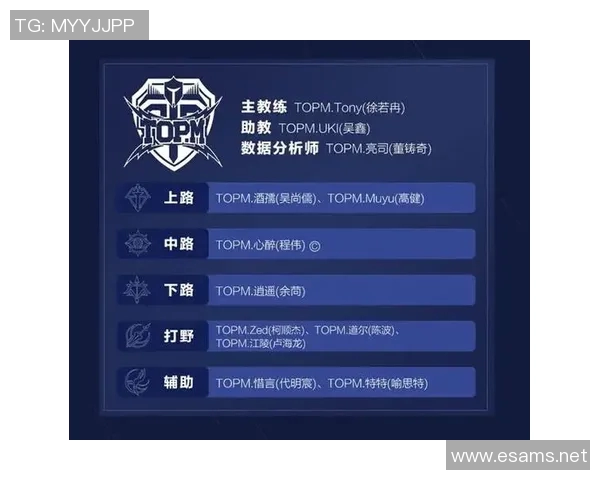 王者荣耀深度分析：探索WE战队在战术灵活性上的独特优势与表现