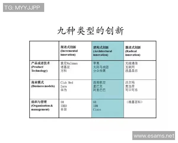 南京排球队边路渗透创新探索与战术变革的深度剖析