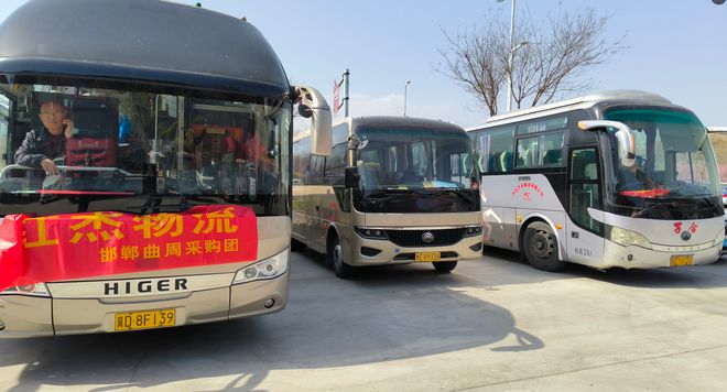 Bsports必一第43届三才正定家具·灯饰展览会闭幕(图4)