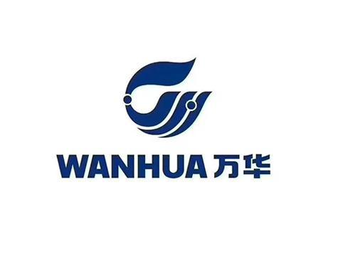 必一运动板材十大品牌最新排行榜（2025年）(图5)
