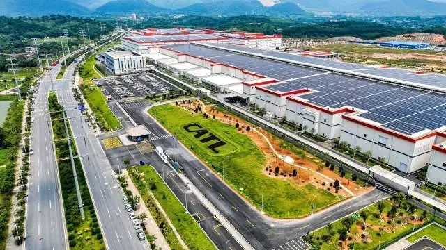 BSports官网肇庆正年青！(图12)